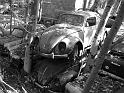 Autofriedhof - 212